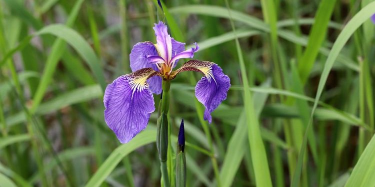 Unleash Your Financial Freedom: Conquer Debt with the Debt Snowball Method