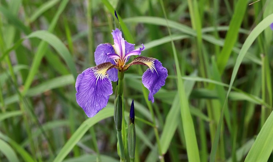 Unleash Your Financial Freedom: Conquer Debt with the Debt Snowball Method