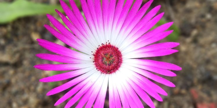 Debt Consolidation Secrets Banks Don’t Want You to Know