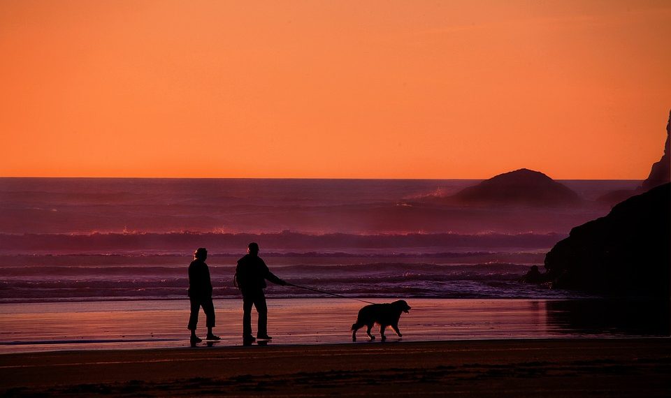 Retirement Annuities Explained: The Smartest Way to Guarantee Lifetime Income After You Stop Working