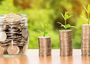 Unleashing Growth: A Strategic Guide to Long Term Investments Success