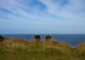 Crafting Your Ideal Retirement: Setting and Achieving Financial Goals